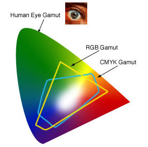 human eye gamut
